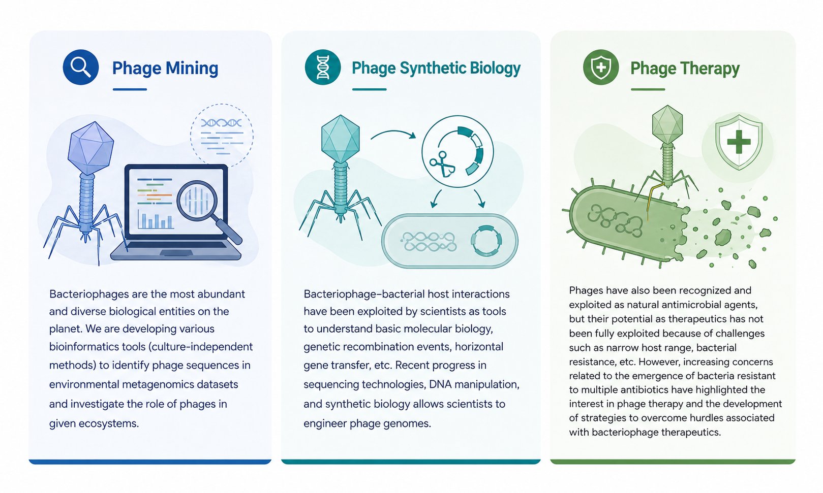 Phage Mining, Phage Synthetic Biology, Phage Therapy